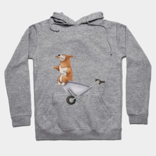 Great little dog. Cute Corgi boss, imperiously sits in a wheelbarrow. Illustration Hoodie